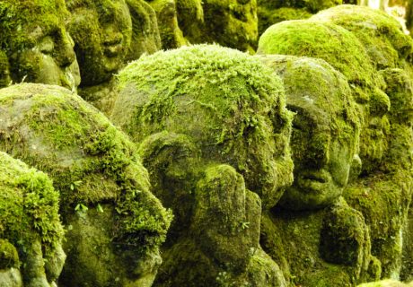 Kyoto private tour. Otagi Nenbtsuji, Kyoto, is filled with carved statues with moss covered.